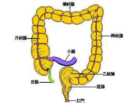 宝宝先天性巨结肠症状是什么