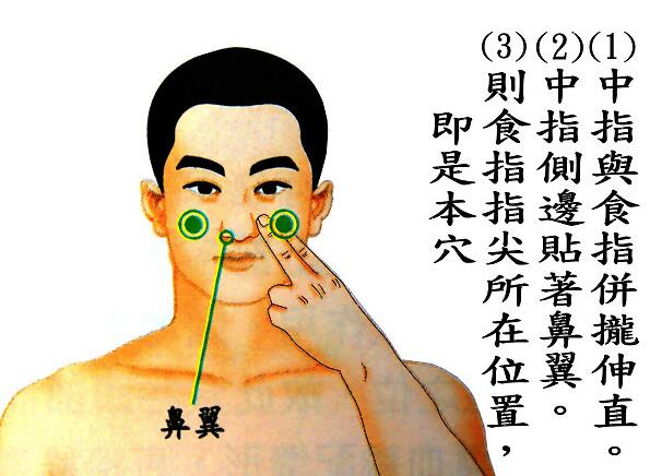 四白穴的准确位置图