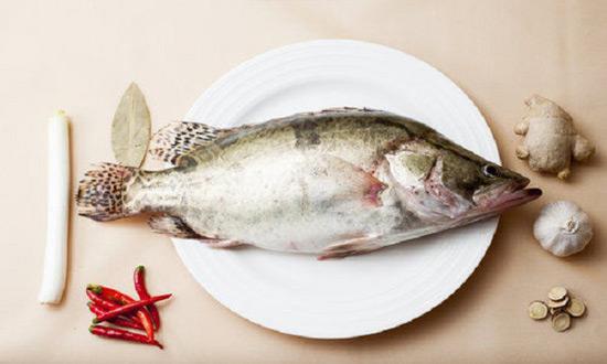 宝宝咳嗽可以吃鱼吗孩子咳嗽饮食要注意