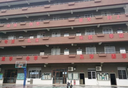 广东佛山乐从颖林水藤学校(小学)教师招聘信息乐从颖林水藤学校创办