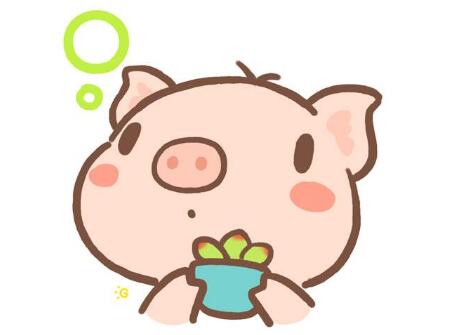 2019年猪宝宝是什么命