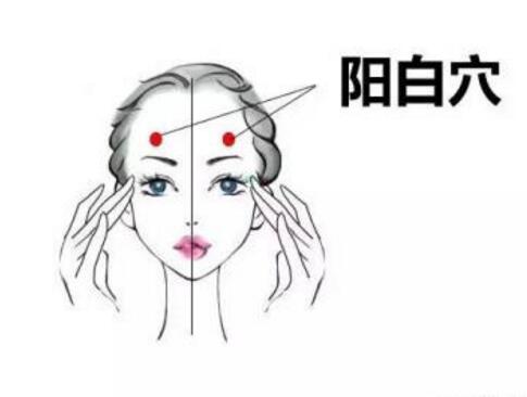 阳白的准确位置图和作用