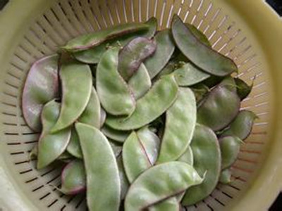 7个月宝宝夏季解暑食谱推荐冬瓜扁豆苡米汤