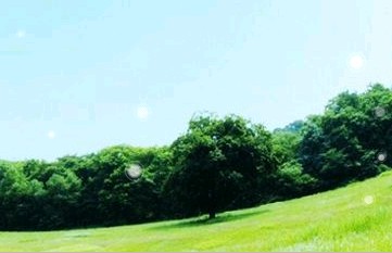 上海和衷中学