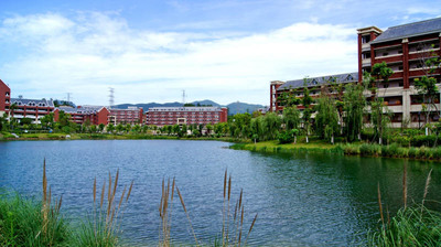 1525680370663550.jpg 201919280419350.JPG