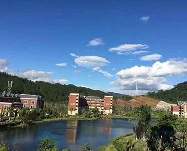 1525680381590008.jpg 201903280303003.jpg