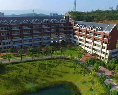 1525680386616559.jpg 201903280303001.jpg