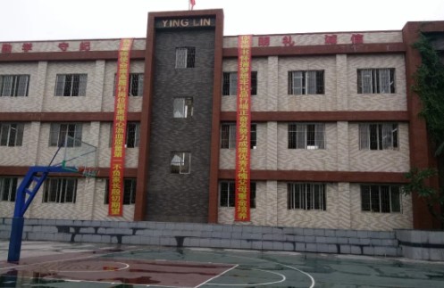 乐从颖林水藤学校收费标准学费及学校简介