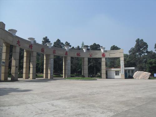 上海市松江九峰实验学校收费标准及学校简介