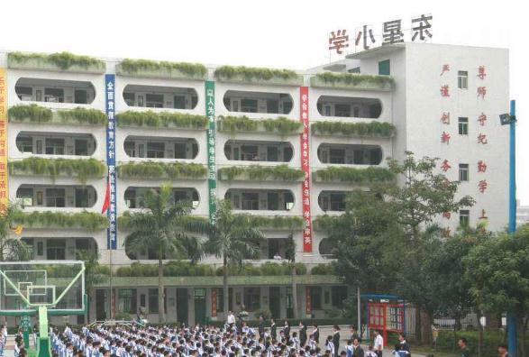 东星