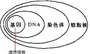 初中生物知识点总结5