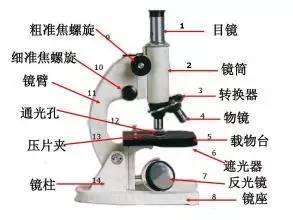 初中生物知识点总结3