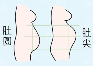 怎么看孕妇肚子尖还是圆孕妇尖肚子和圆肚子对照图