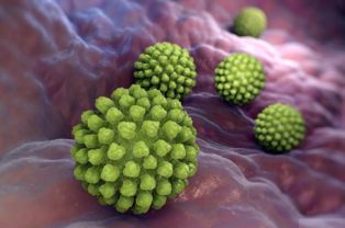 感染轮状病毒会出现哪些症状轮状病毒会引发什么疾病